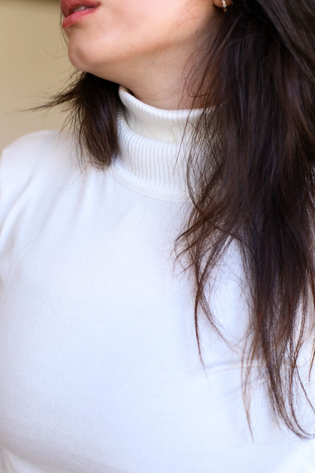 Pullover Turtleneck Sweater